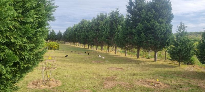 3 Bedroom Property for Sale in Tergniet Western Cape